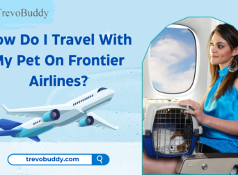 How Do I Travel With My Pet On Frontier Airlines?