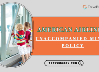 American Airlines Unaccompanied Minor